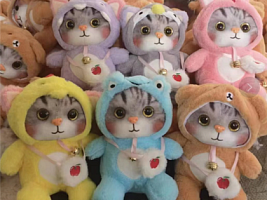 Коты